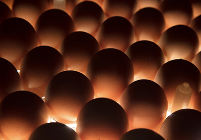 首页-RG皇家视讯厅真人官方网站