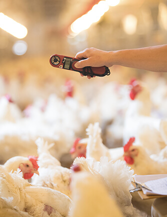 首页-RG皇家视讯厅真人官方网站