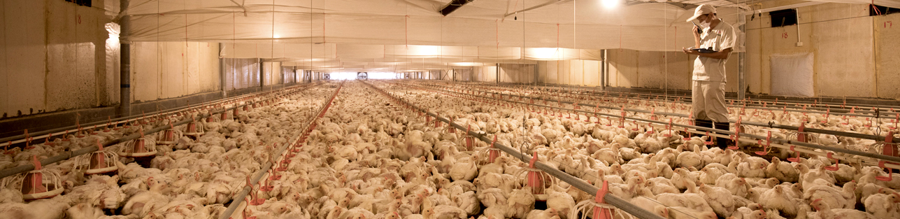 首页-RG皇家视讯厅真人官方网站