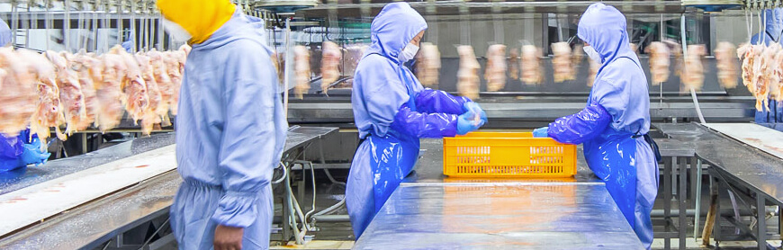 首页-RG皇家视讯厅真人官方网站