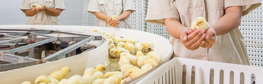 首页-RG皇家视讯厅真人官方网站