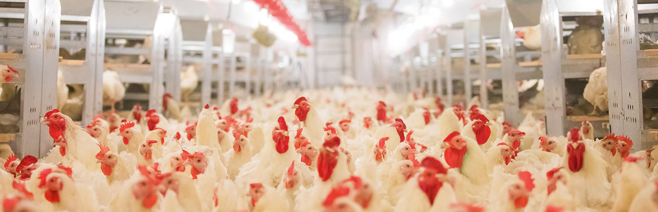 首页-RG皇家视讯厅真人官方网站