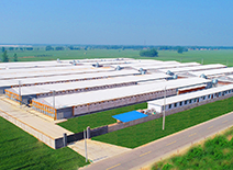 首页-RG皇家视讯厅真人官方网站