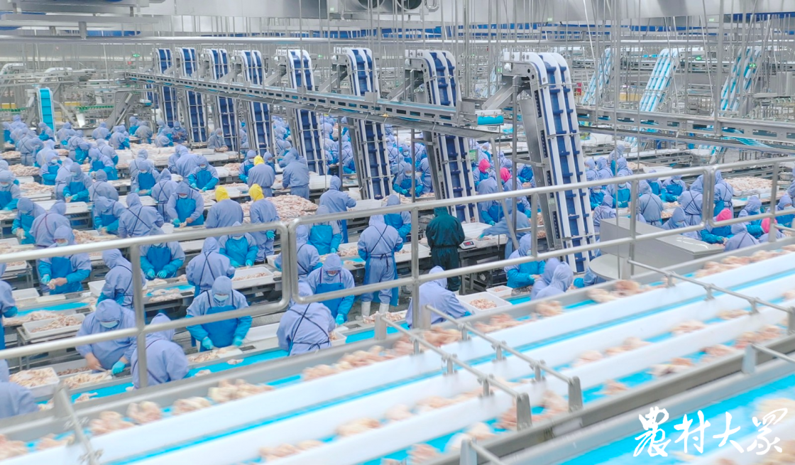 首页-RG皇家视讯厅真人官方网站