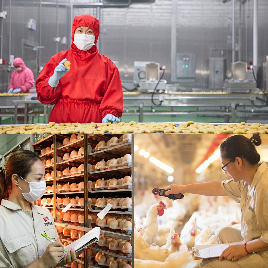 首页-RG皇家视讯厅真人官方网站